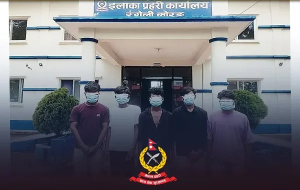 मोरङमा एक बालिकामाथि पाँचजनाले गरे जबरजस्ती करणी, प्रहरीले लियो पाँच जनालाई नियन्त्रणमा