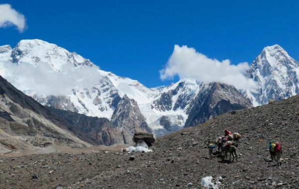 ब्रोड पिकमा हराएका १० जनामध्ये चार जनाको शव फेला