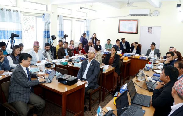 तीनवटा संसदीय समितिको बैठक बस्दै, मन्त्रीसँग छलफल